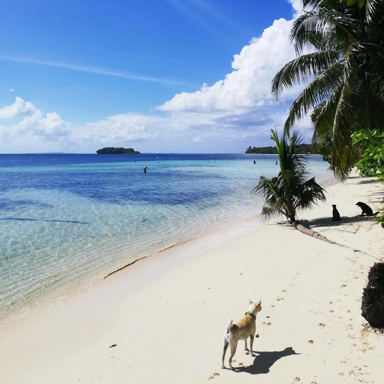 Ferra Resort Siargao (Adults Only) General Luna  Exterior foto